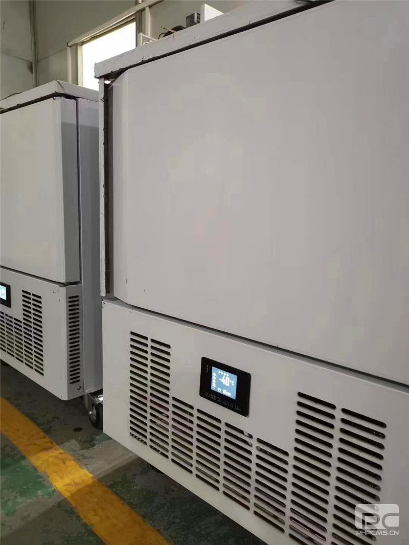 定西蛋糕急速冷凍柜廠家